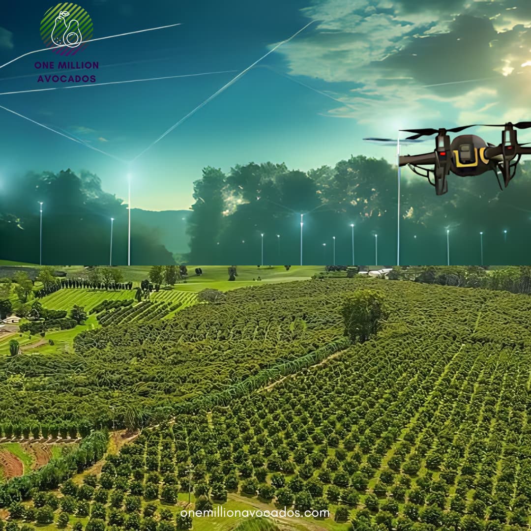 Drones in Agriculture for mapping Avocados (Part 1)