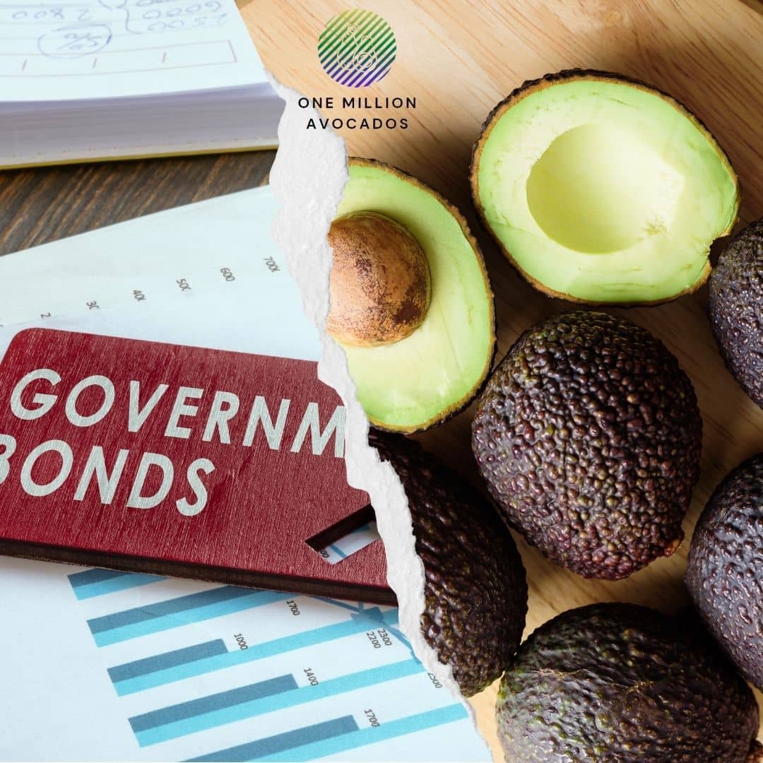Avocado Farming vs Traditional Investments: Which Is Better?